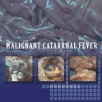 Malignant catarrhal fever