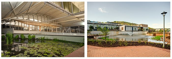 Water harvesting at UP’s Engineering 1 Building (left) for use in the Manie van der Schyff Botanical Gardens on the Hatfield Campus. Future Africa (right) has a rainwater harvesting system that captures rainwater from the buildings, which is then used to water the gardens in the complex.