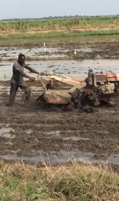 Power tiller being used for land preparation. (Image: Selorm Dorvlo)