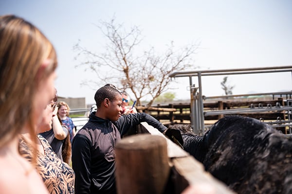 Future veterinarians get up close and personal with the animals at the Onderstepoort Campus.