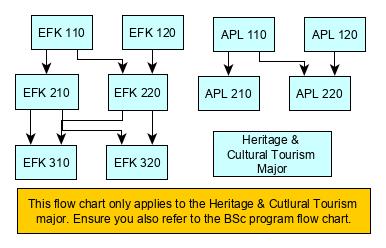 flowchart for majoring in heritage and cultural tourism