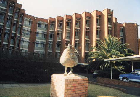 Maroela