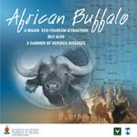 African Buffalo