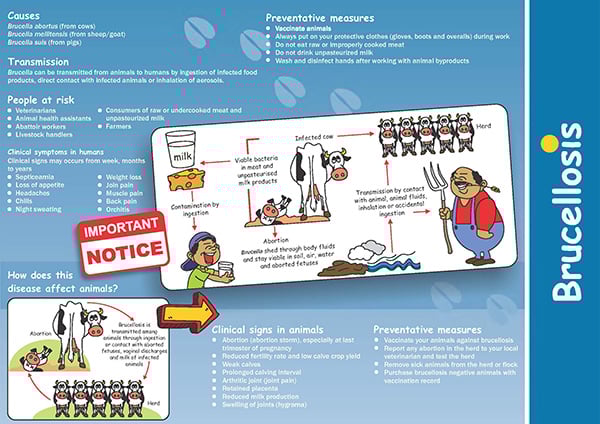 Brucellosis brochure