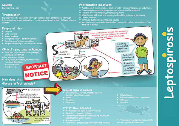 Leptospirosis brochure