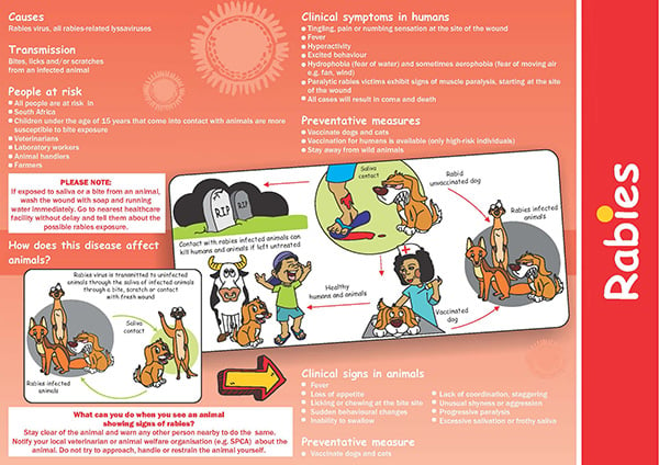 Rabies brochure