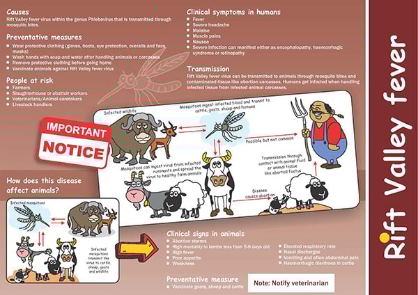 RVF brochure