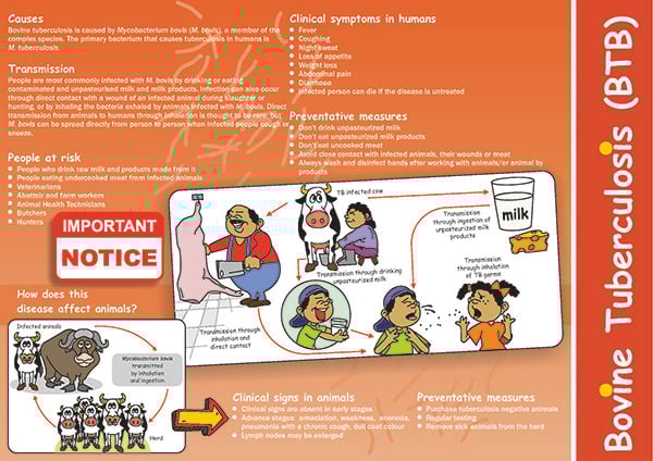 BTB Brochure