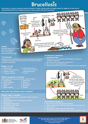 Brucellosis poster