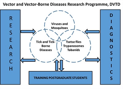 Vector and vector-borne diseases research programme