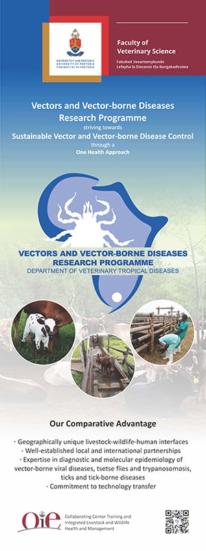 Vectors and vector-borne diseases banner