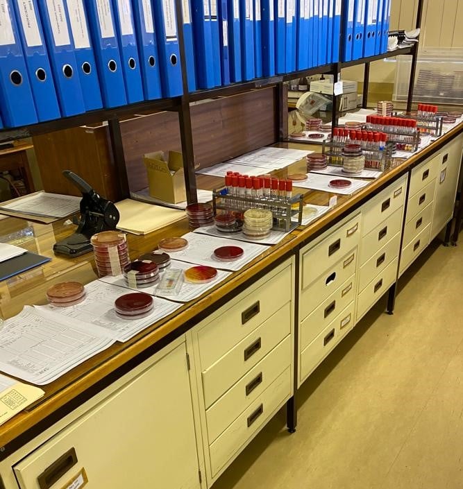 Bacteriology laboratory