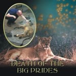 Death of the big prides