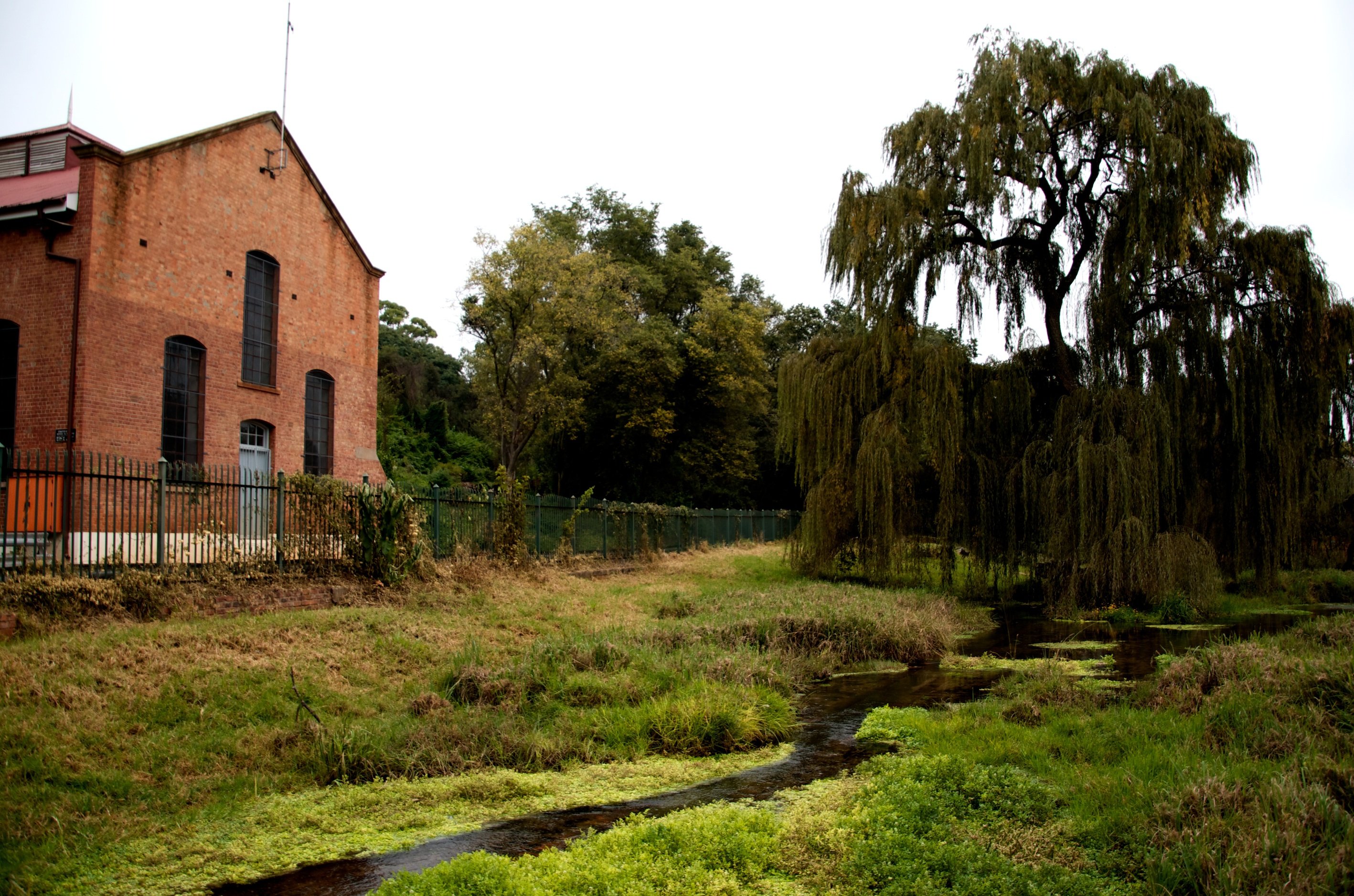 Lower Fountain and the mouth of the Apies River, Groenkloof Nature Reserve, Pretoria ((c) Gerrit Burger)