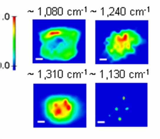 FTIR scan