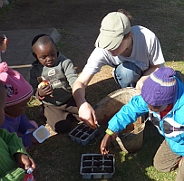 learning to prepare seed trays