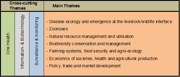 Research themes