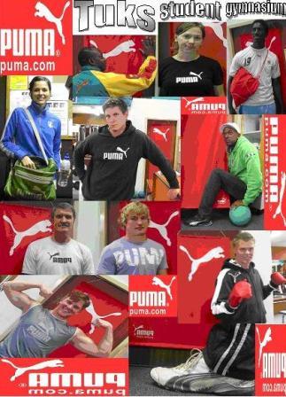 /sitefiles/Image/5573/856/puma.JPG